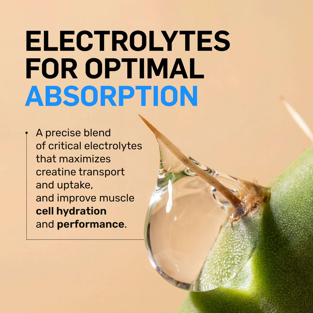 Creatine HCl Powder - Unflavored