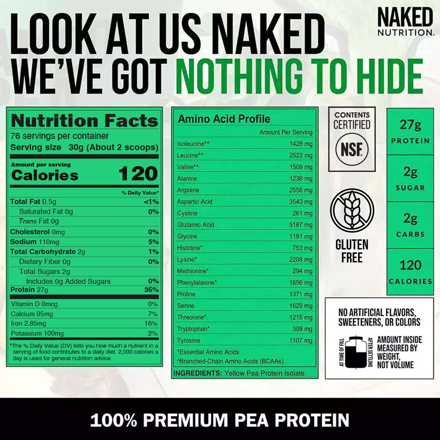 Pea Protein Powder - Unflavored
