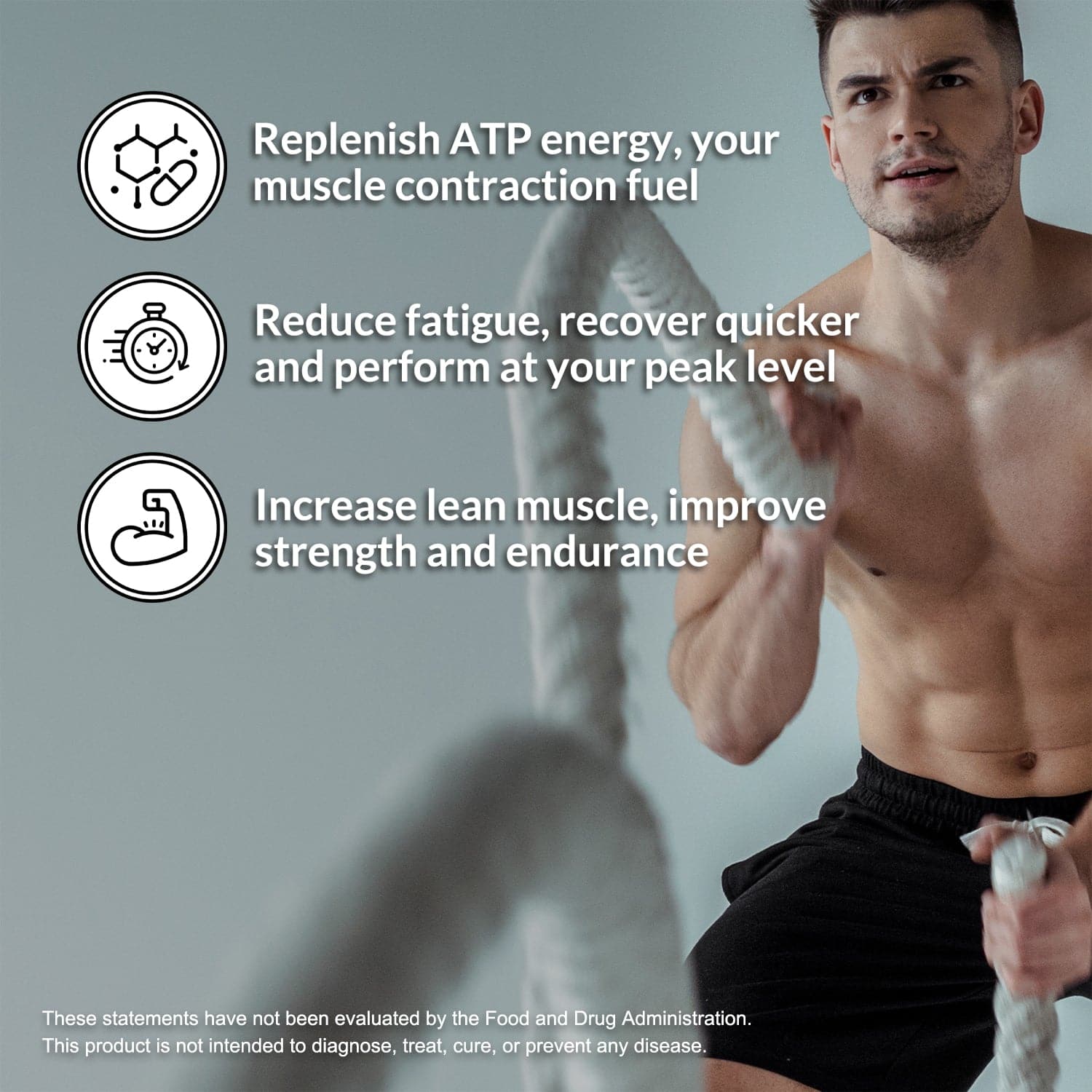 Creatine Monohydrate Powder - Unflavored