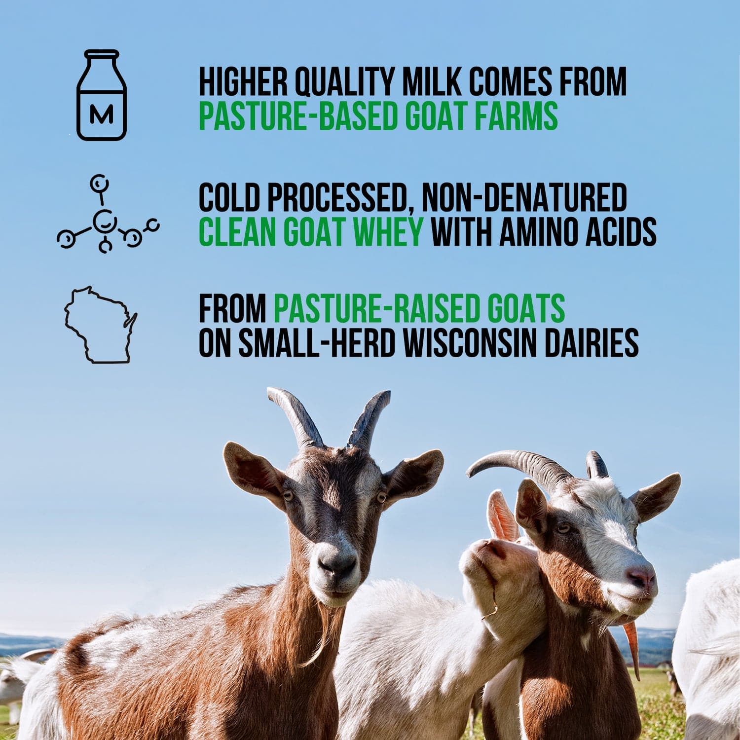 Goat Whey Protein Powder - Unflavored