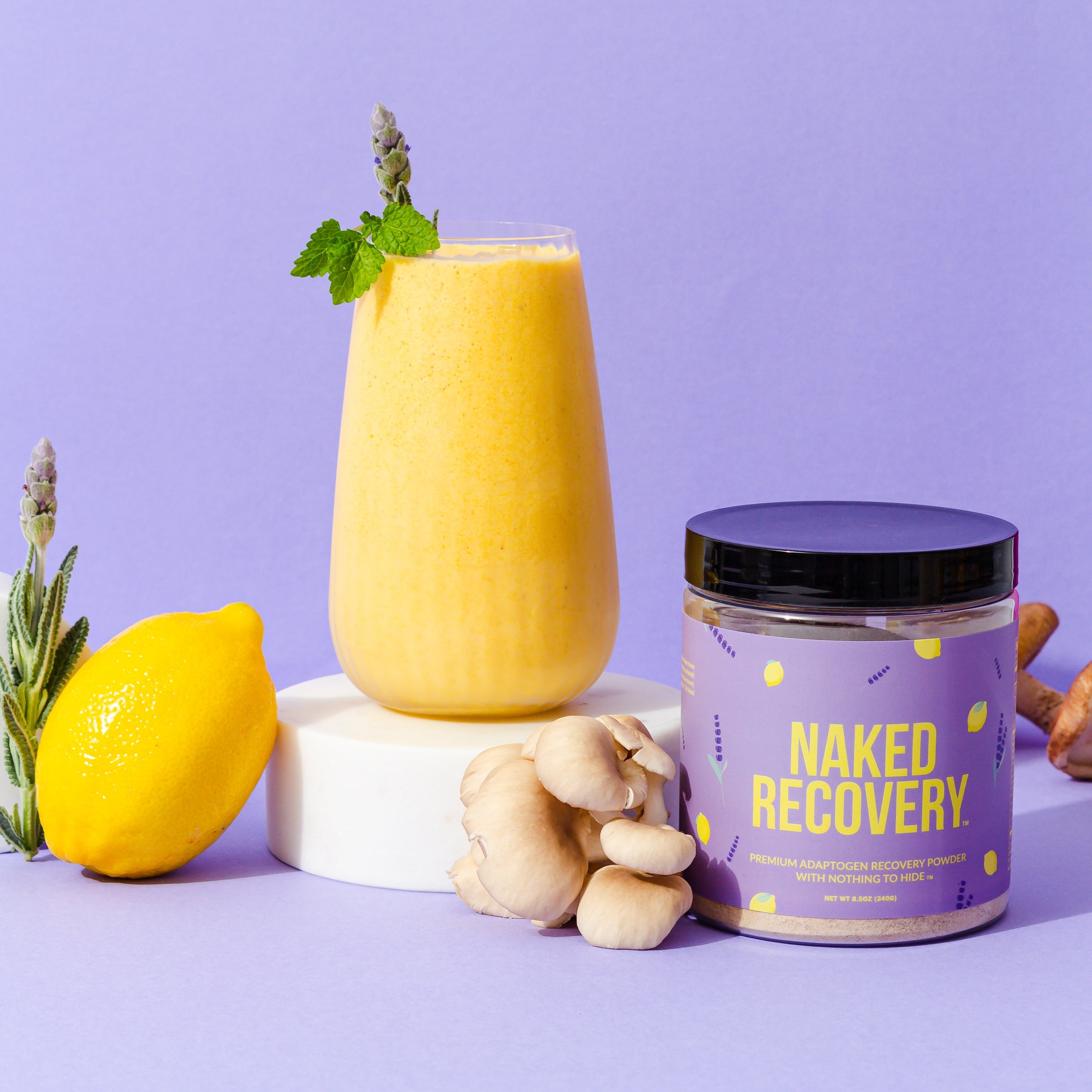Recovery Mushroom Supplement