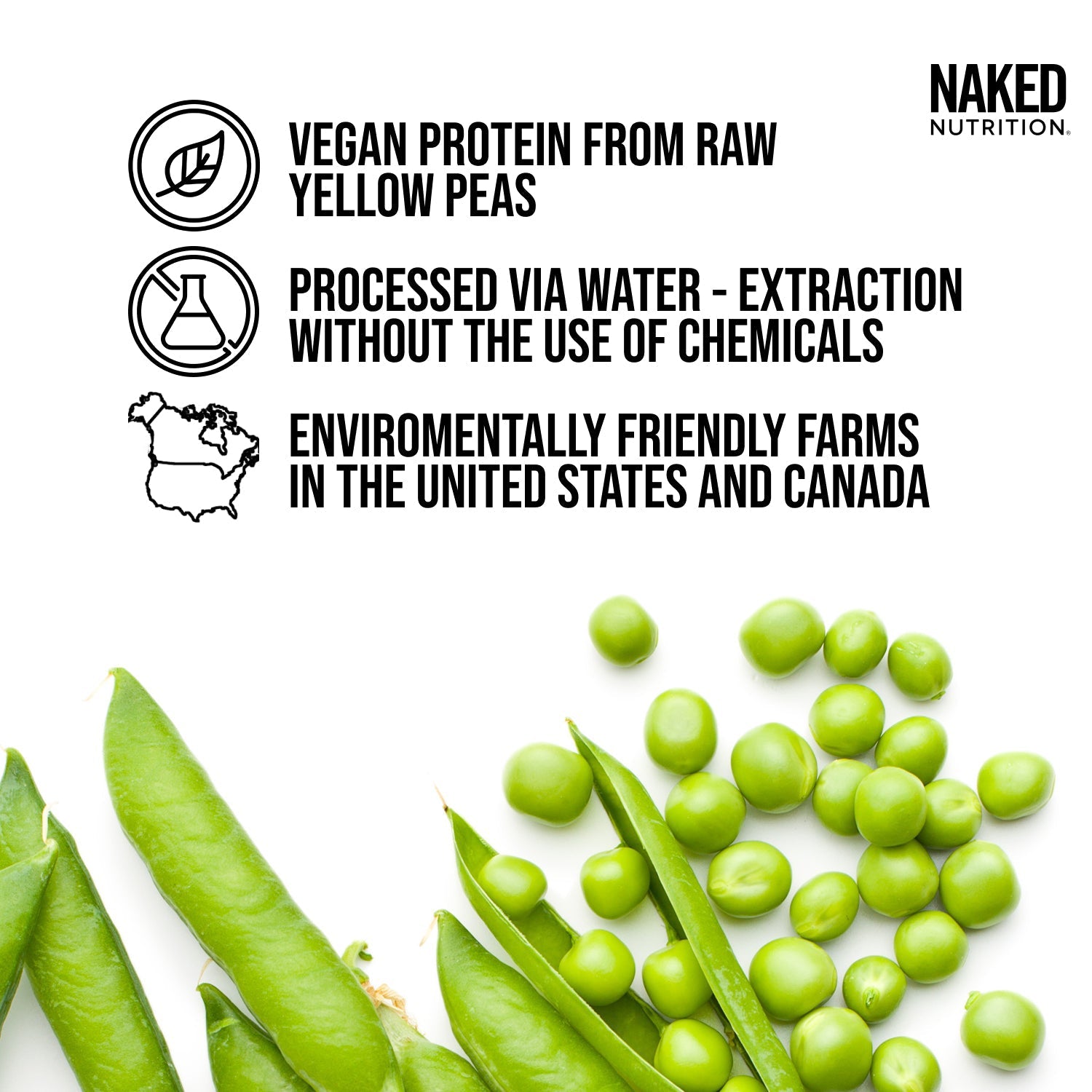 Pea Protein Powder 1lb - Unflavored